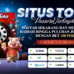 Daftar Habanero BCA: Panduan Lengkap dan Terbaru