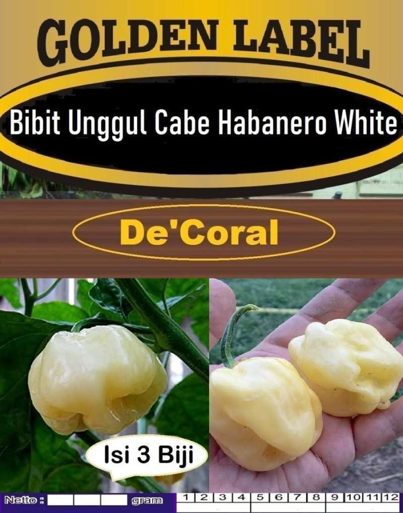 Daftar Habanero BCA: Panduan Lengkap dan Terbaru